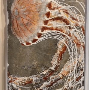 Jelly Fish